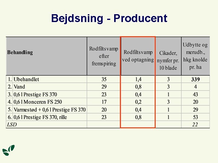 Bejdsning - Producent 