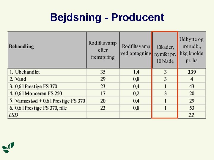 Bejdsning - Producent 