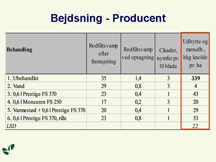 Bejdsning - Producent 