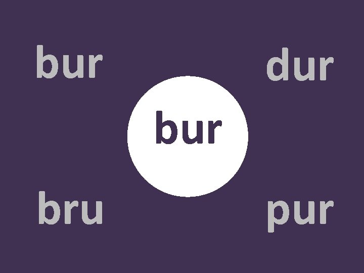 bur dur bru pur 