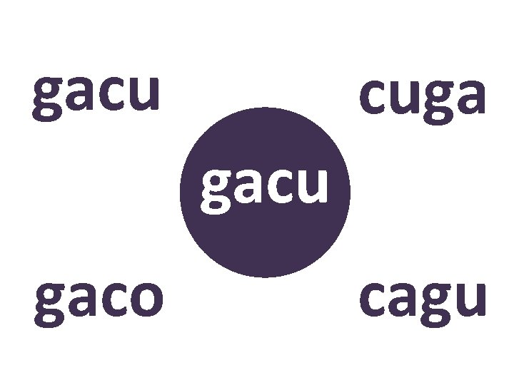 gacu cuga gacu gaco ? cagu 