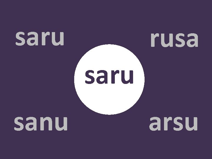 saru rusa saru sanu arsu 