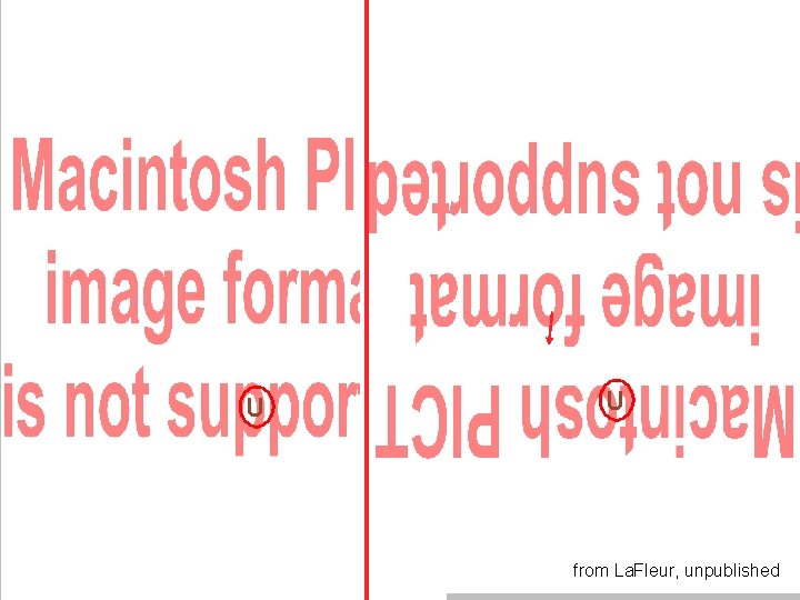 U U from La. Fleur, unpublished U U from La. Fleur, unpublished