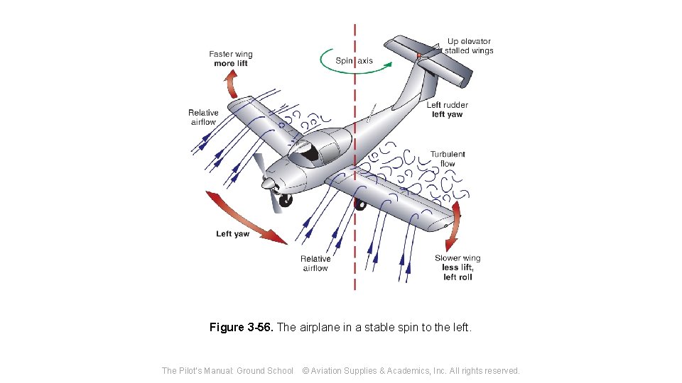 Figure 3 -56. The airplane in a stable spin to the left. The Pilot's