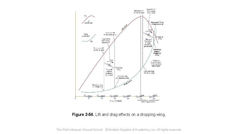 Figure 3 -58. Lift and drag effects on a dropping wing. The Pilot's Manual: