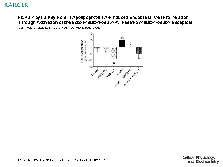 PI 3 Kβ Plays a Key Role in Apolipoprotein A-I-Induced Endothelial Cell Proliferation Through