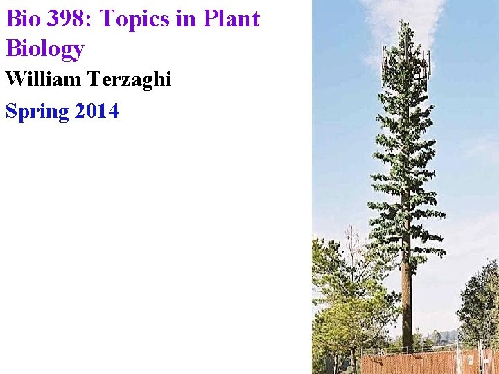 Bio 398: Topics in Plant Biology William Terzaghi Spring 2014 