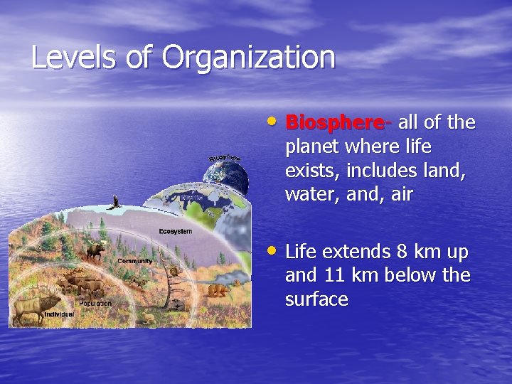 Levels of Organization • Biosphere- all of the planet where life exists, includes land,