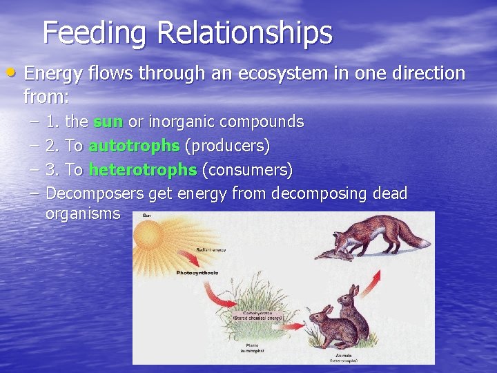 Feeding Relationships • Energy flows through an ecosystem in one direction from: – –