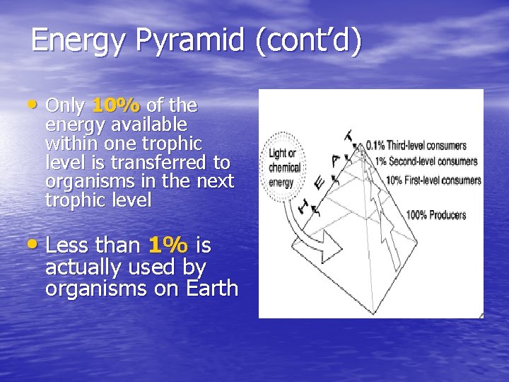 Energy Pyramid (cont’d) • Only 10% of the energy available within one trophic level