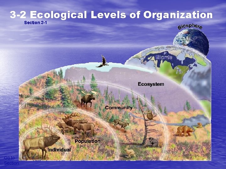 3 -2 Ecological Levels of Organization Section 3 -1 Go to Section: 