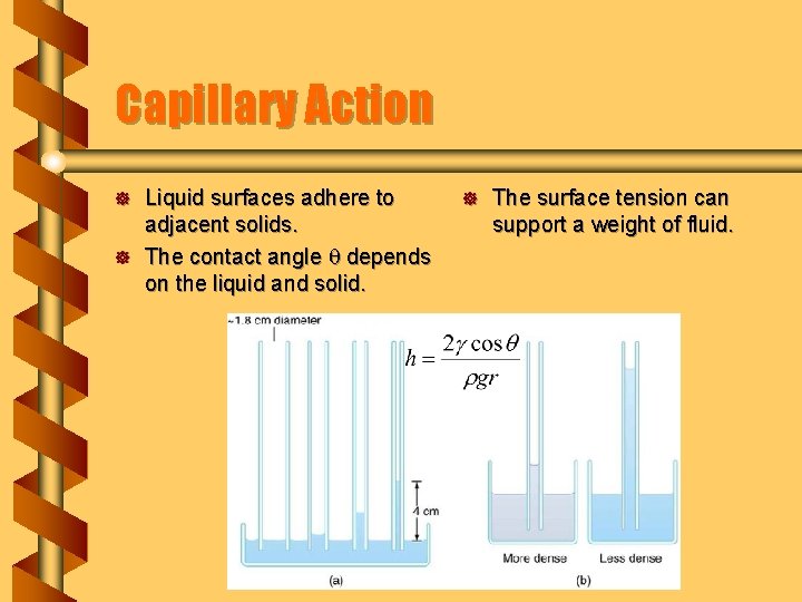 Capillary Action ] ] Liquid surfaces adhere to adjacent solids. The contact angle q