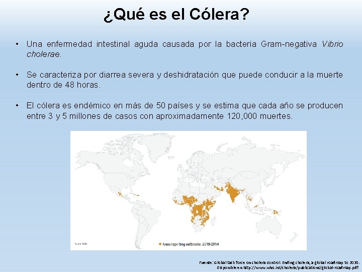 ¿Qué es el Cólera? • Una enfermedad intestinal aguda causada por la bacteria Gram-negativa