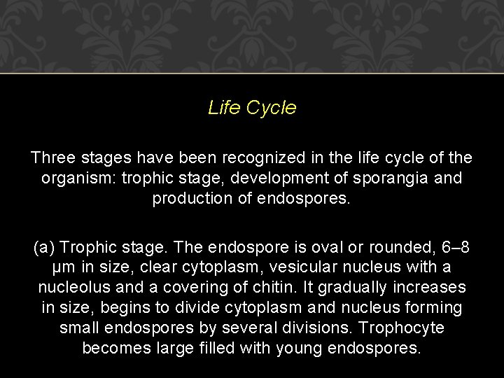 Life Cycle Three stages have been recognized in the life cycle of the organism: