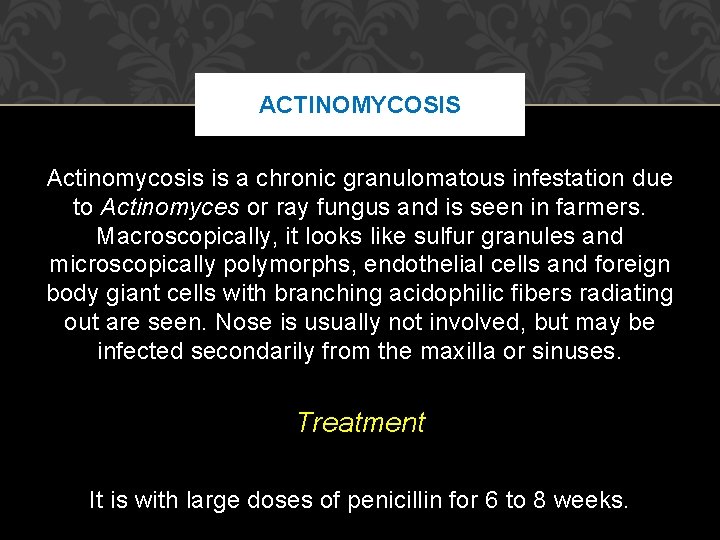 ACTINOMYCOSIS Actinomycosis is a chronic granulomatous infestation due to Actinomyces or ray fungus and