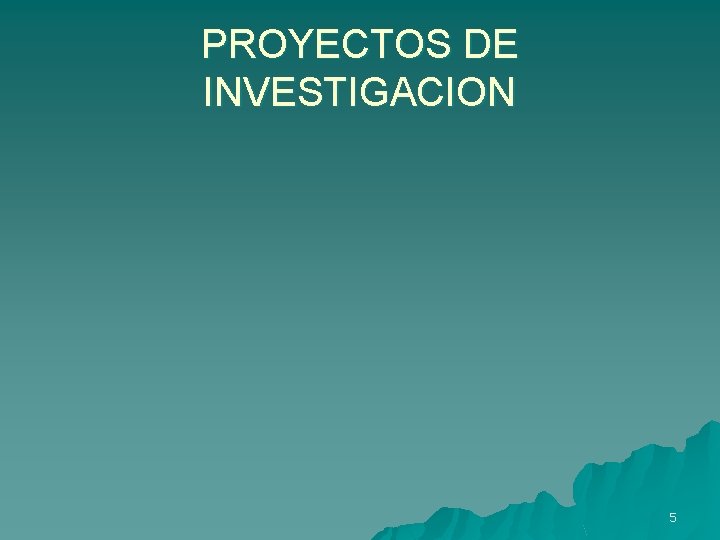 PROYECTOS DE INVESTIGACION 5 