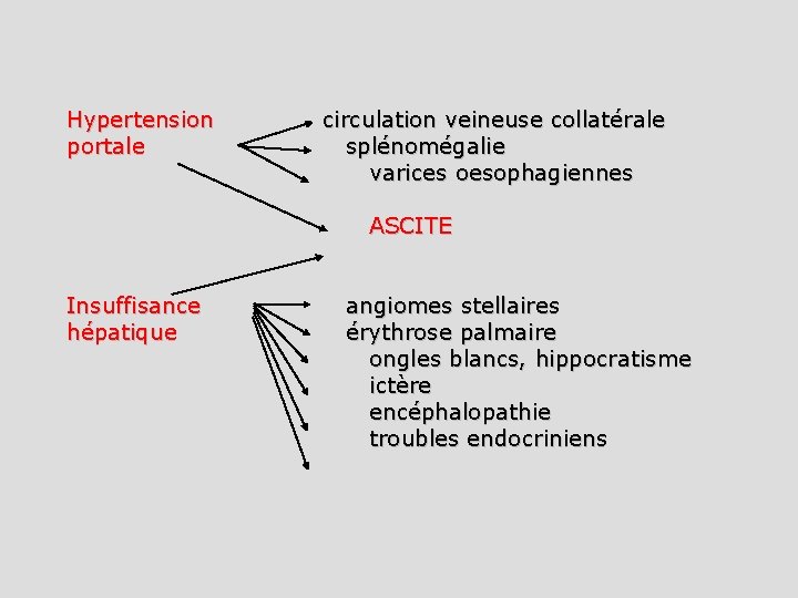 Hypertension portale circulation veineuse collatérale splénomégalie varices oesophagiennes ASCITE Insuffisance hépatique angiomes stellaires érythrose