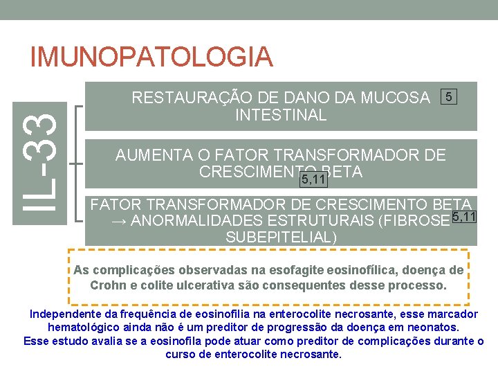 IL-33 IMUNOPATOLOGIA RESTAURAÇÃO DE DANO DA MUCOSA INTESTINAL 5 AUMENTA O FATOR TRANSFORMADOR DE