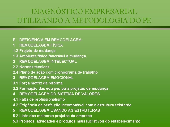 DIAGNÓSTICO EMPRESARIAL UTILIZANDO A METODOLOGIA DO PE E DEFICIÊNCIA EM REMODELAGEM: 1 REMODELAGEM FÍSICA