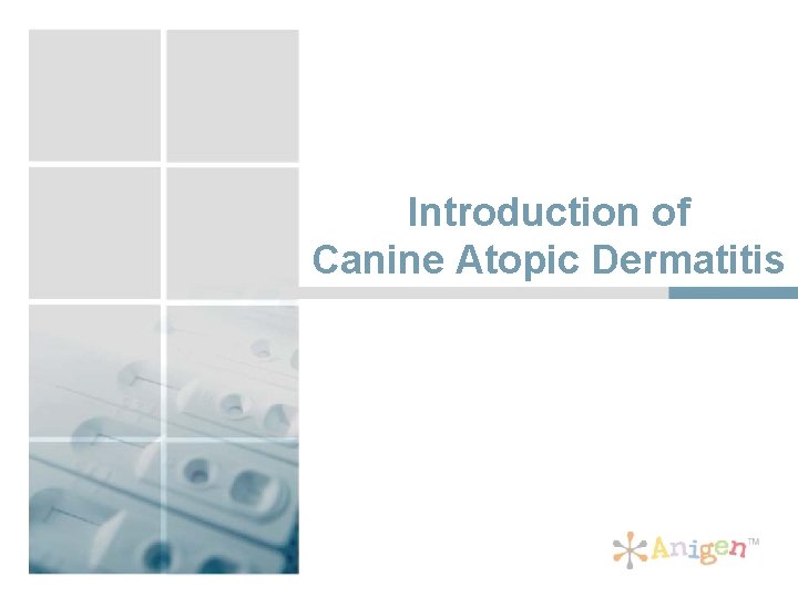 Introduction of Canine Atopic Dermatitis 