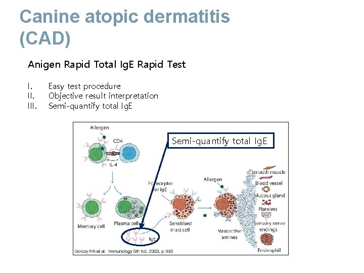 Canine atopic dermatitis (CAD) Anigen Rapid Total Ig. E Rapid Test I. III. Easy