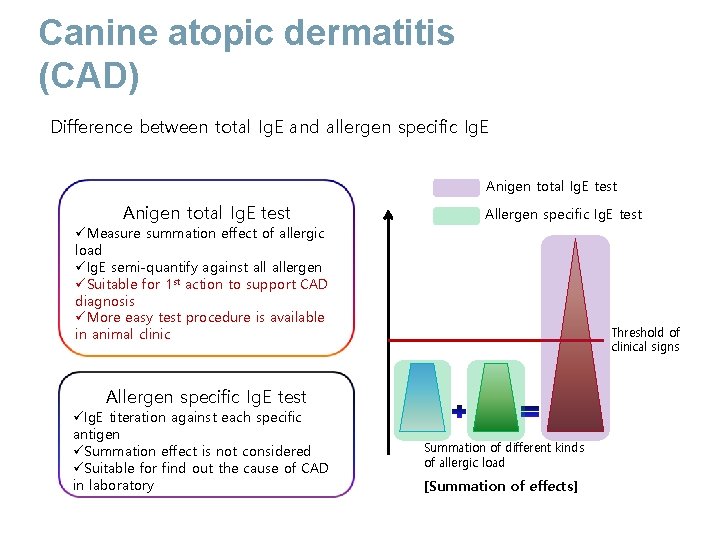 Canine atopic dermatitis (CAD) Difference between total Ig. E and allergen specific Ig. E