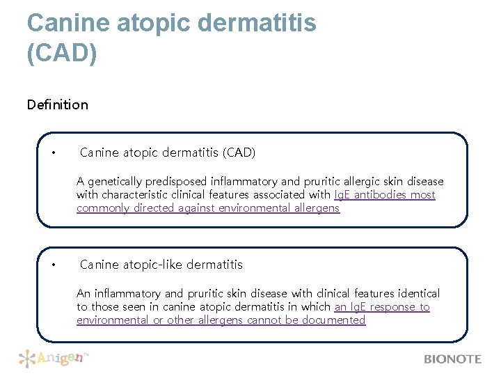 Canine atopic dermatitis (CAD) Definition • Canine atopic dermatitis (CAD) A genetically predisposed inflammatory