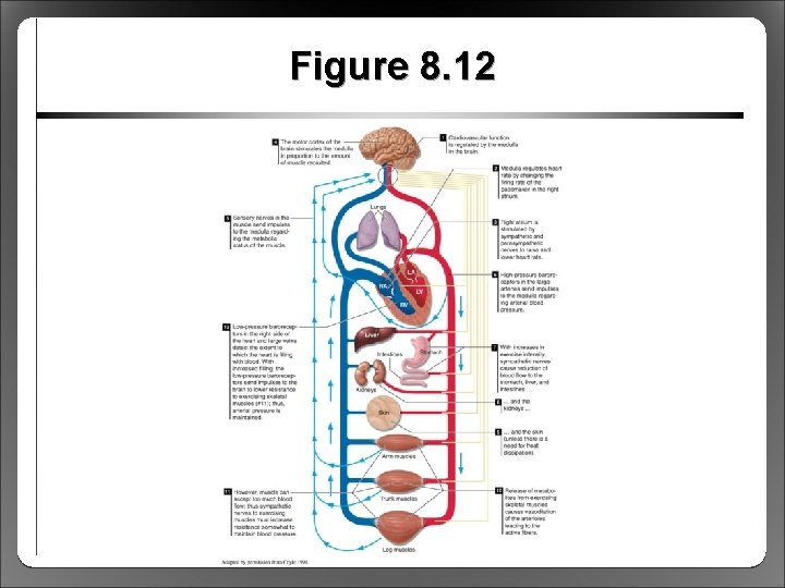 Figure 8. 12 