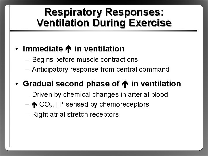 Respiratory Responses: Ventilation During Exercise • Immediate in ventilation – Begins before muscle contractions