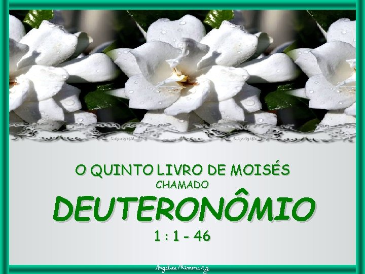 O QUINTO LIVRO DE MOISÉS CHAMADO DEUTERONÔMIO 1 : 1 - 46 