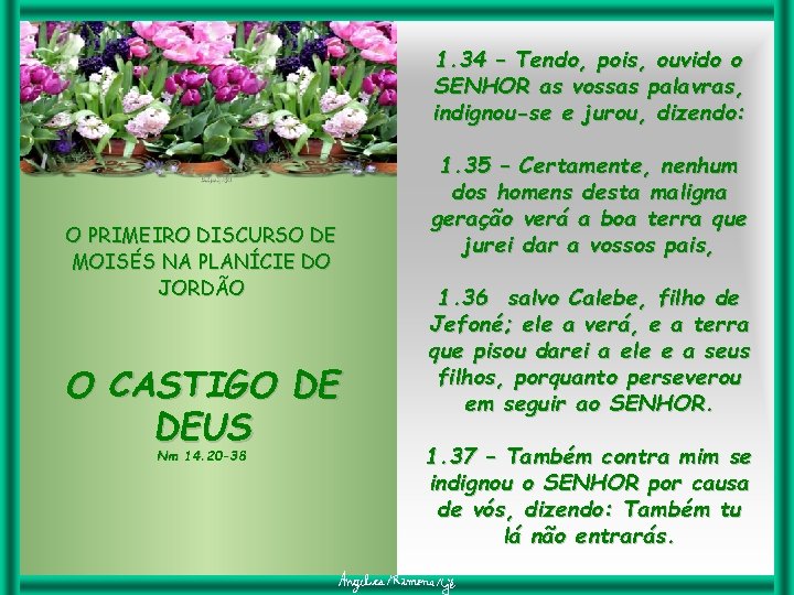 1. 34 – Tendo, pois, ouvido o SENHOR as vossas palavras, indignou-se e jurou,