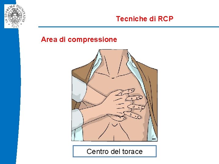 Tecniche di RCP Area di compressione Centro del torace 