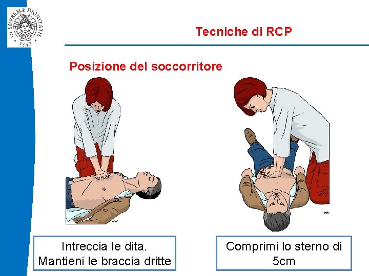 Tecniche di RCP Posizione del soccorritore Intreccia le dita. Mantieni le braccia dritte Comprimi