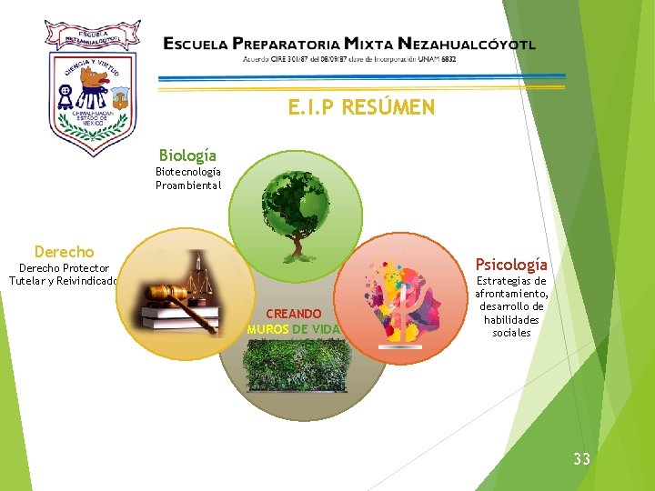 E. I. P RESÚMEN Biología Biotecnología Proambiental Derecho Psicología Derecho Protector Tutelar y Reivindicador