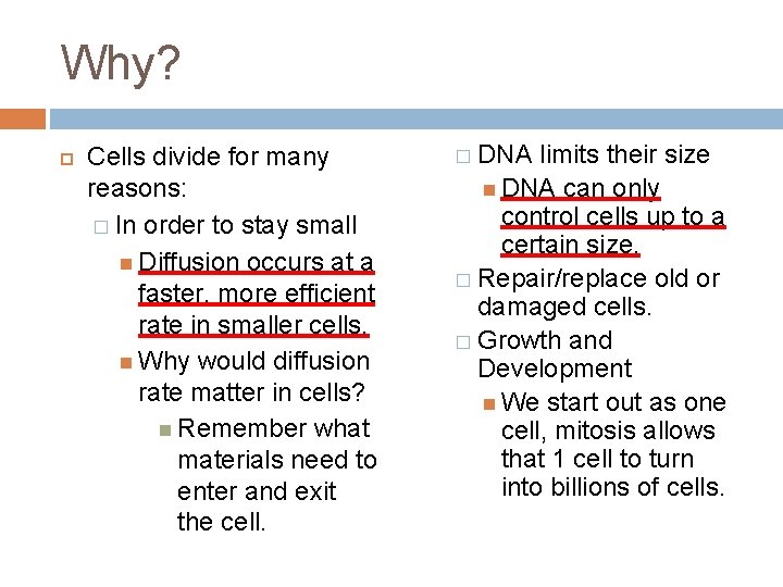 Why? Cells divide for many reasons: � In order to stay small Diffusion occurs