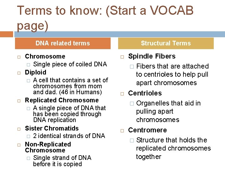 Terms to know: (Start a VOCAB page) DNA related terms Chromosome � Single piece