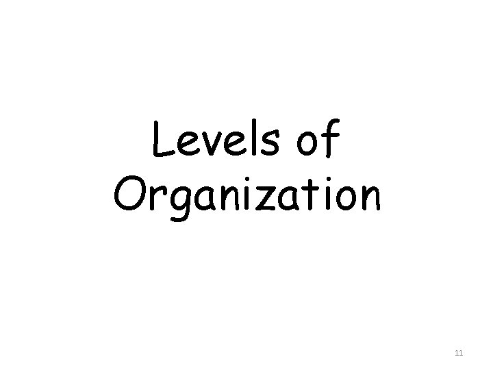 Levels of Organization 11 