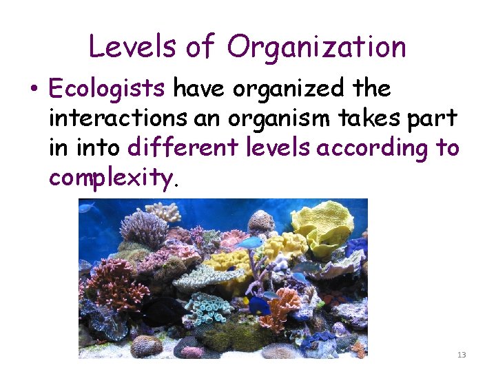 Levels of Organization • Ecologists have organized the interactions an organism takes part in