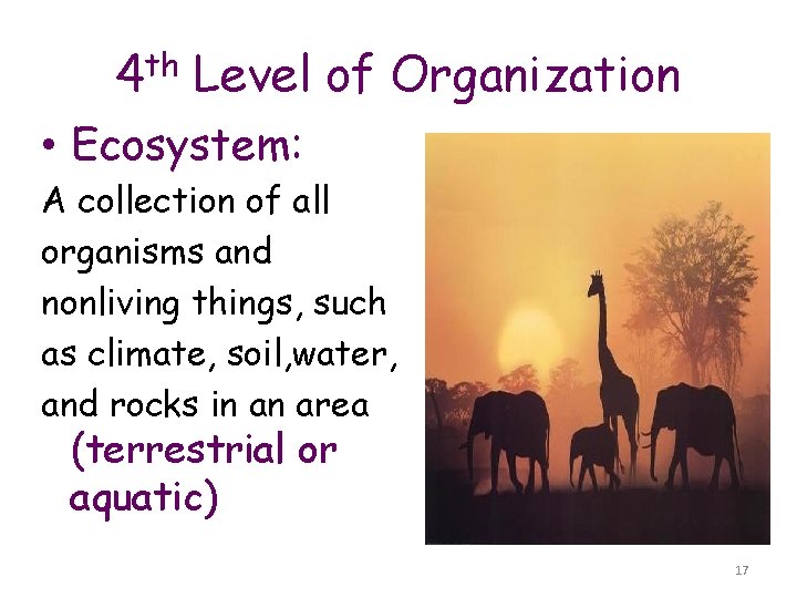 4 th Level of Organization • Ecosystem: A collection of all organisms and nonliving