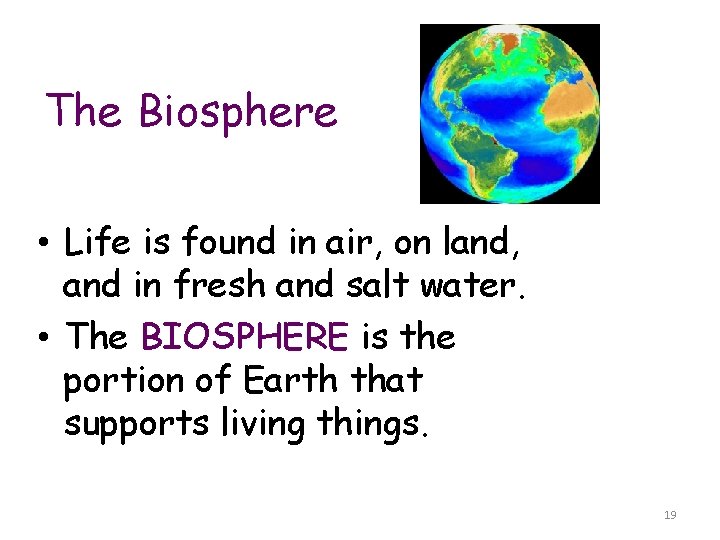 The Biosphere • Life is found in air, on land, and in fresh and