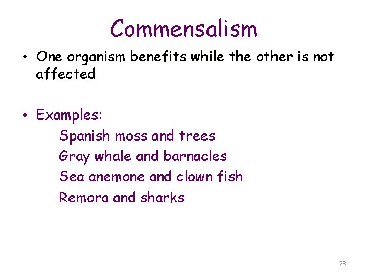Commensalism • One organism benefits while the other is not affected • Examples: Spanish