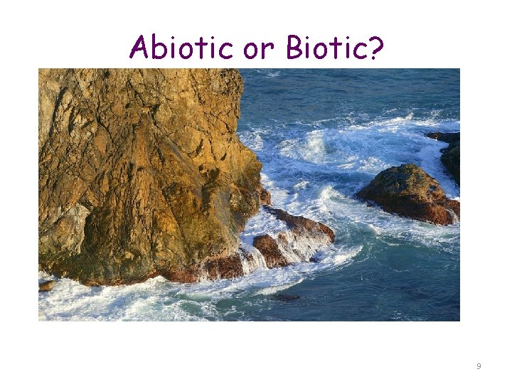 Abiotic or Biotic? Abiotic 9 