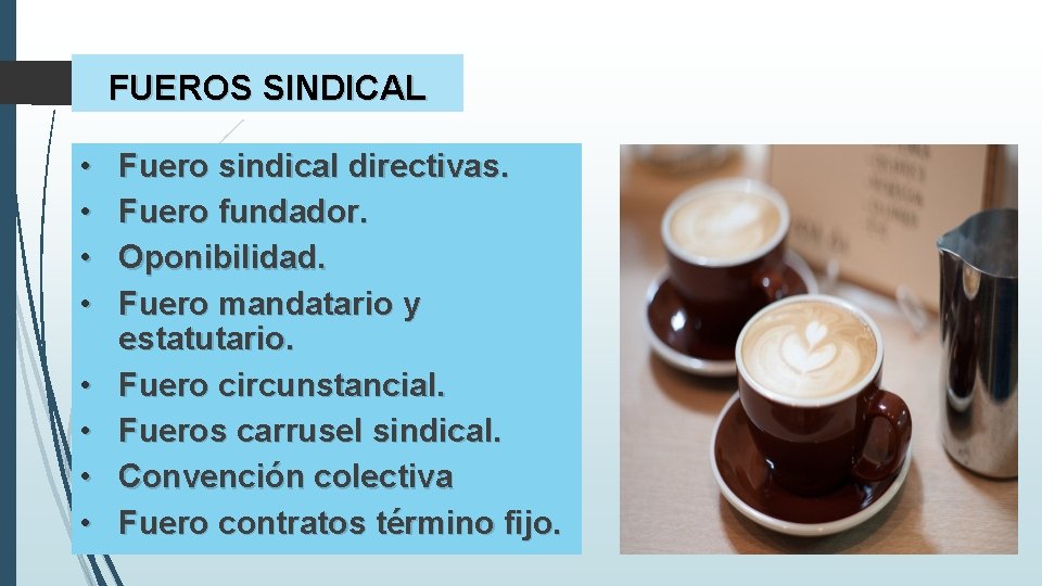 FUEROS SINDICAL • • Fuero sindical directivas. Fuero fundador. Oponibilidad. Fuero mandatario y estatutario.