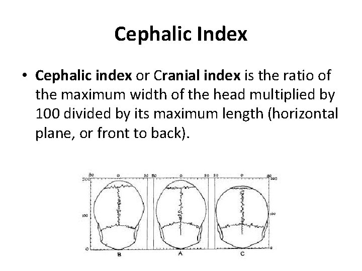 Cephalic Index • Cephalic index or Cranial index is the ratio of the maximum