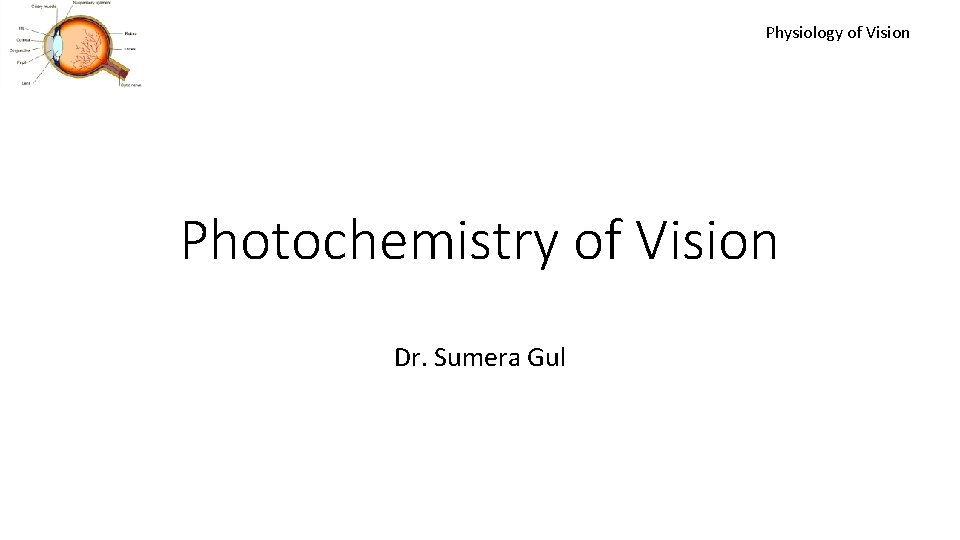 Physiology of Vision Photochemistry of Vision Dr. Sumera Gul 
