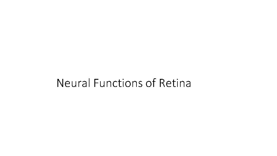 Neural Functions of Retina 