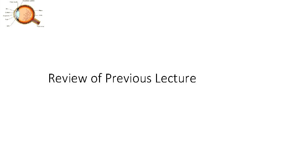 Review of Previous Lecture 