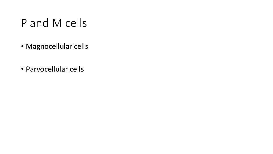 P and M cells • Magnocellular cells • Parvocellular cells 