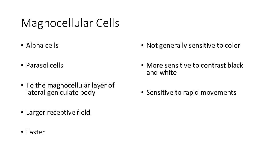 Magnocellular Cells • Alpha cells • Not generally sensitive to color • Parasol cells