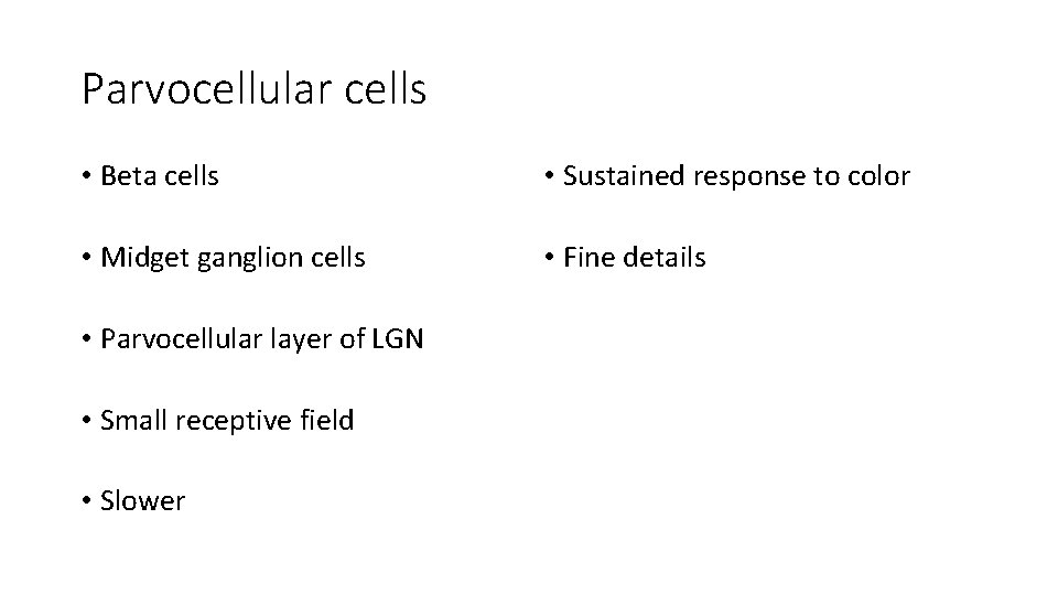 Parvocellular cells • Beta cells • Sustained response to color • Midget ganglion cells